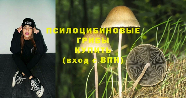 mix Алексеевка